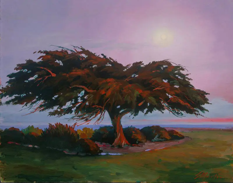 Sunset over tree with colorful sky.